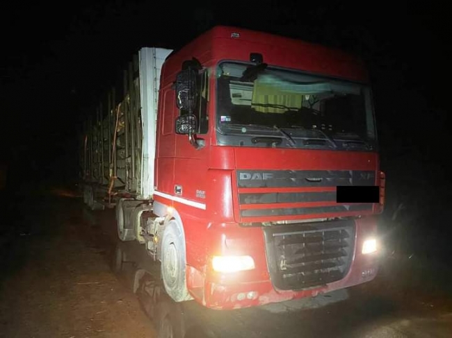 На Рівненщині затримали вантажівку, яка везла зрубані сосни
