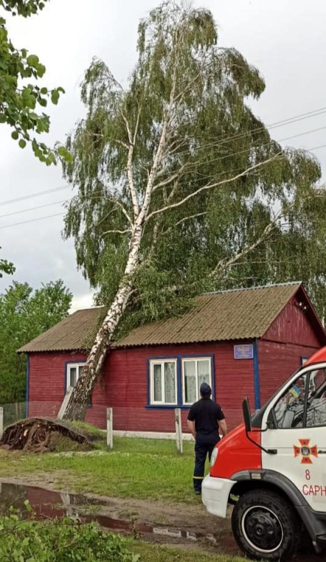 На Сарненщині на фельдшерсько-акушерський пункт звалилося дерево, а з клубу знесло половину даху (оновлено, відео)
