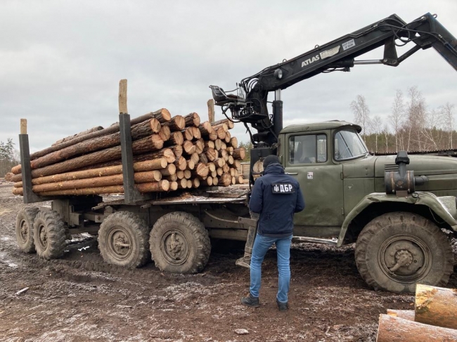 На Сарненщині вилучено деревини на чверть мільйона гривень