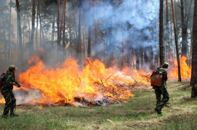 На території Рівненщини високий рівень пожежної небезпеки
