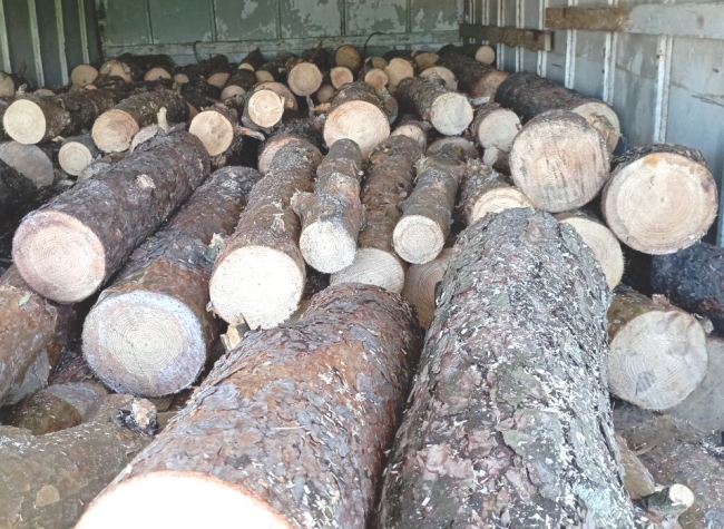 На Володимиреччині поліцейські відмовилися від хабара за вантажівку з деревиною