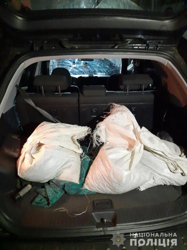 На Володимиреччині водій опирався поліції, бо мав 37 кг бурштину в багажнику