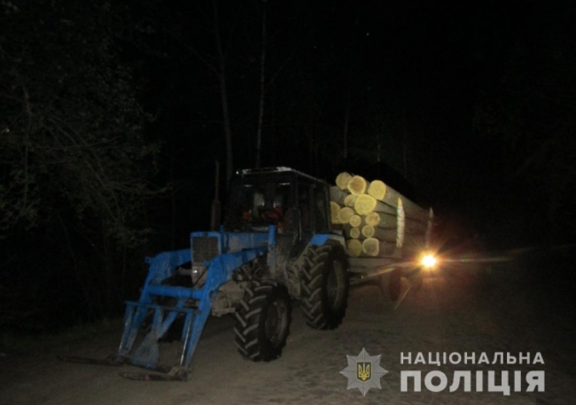 На Житомирщині поліцейські розслідують крадіжку дубів на Олевщині , яку скоїли мешканці Рівненщини