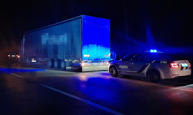 На Житомирщині затримали вантажівку рівнянина з нелегальною деревиною