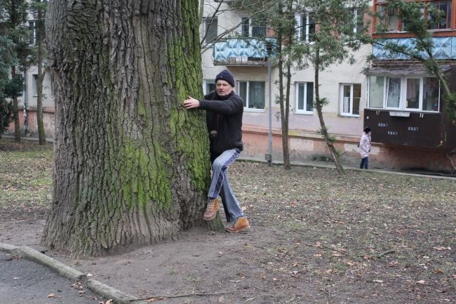 Найстарший дуб Рівного росте у парку ім. Шевченка