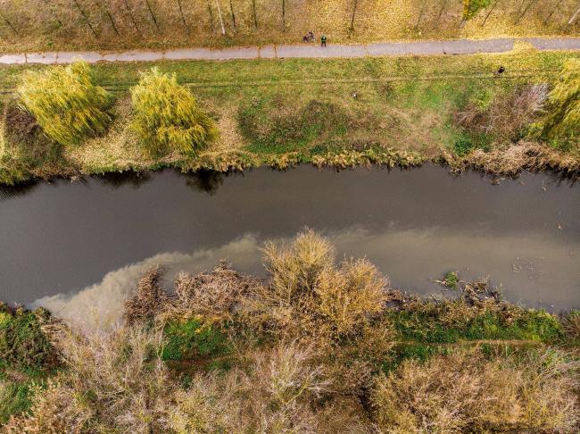 Нечистоти в річку Устя зливає рівненський водоканал? (ФОТО)