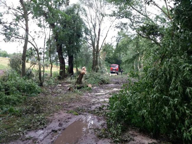 Негода заблокувала понад півкілометра дороги до села Курозвани та проїзд з Гощі  у напрямку Острога