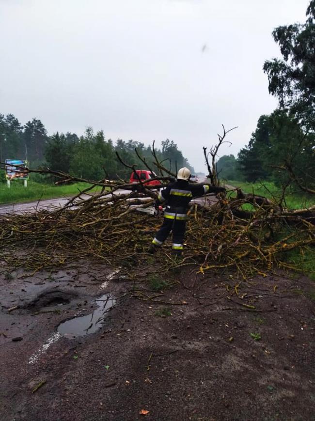 Негода знеструмила 24 села та повалила дерева