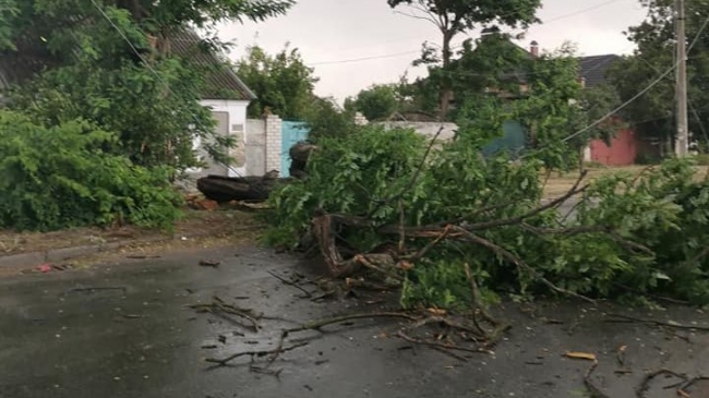Негода знеструмила 30 населених пунктів на Рівненщині