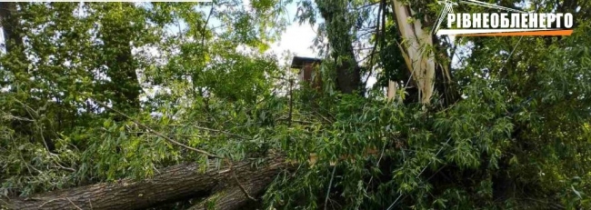 Негода знеструмила на Рівненщині кілька десятків сіл