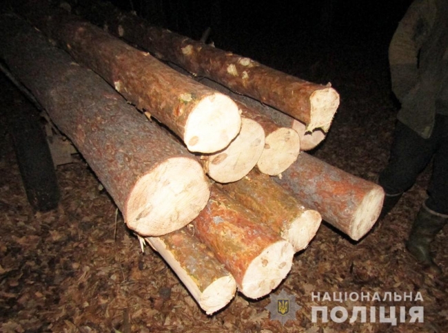 Олевські поліцейські затримали жителя Рівненщини за незаконну порубку лісу 
