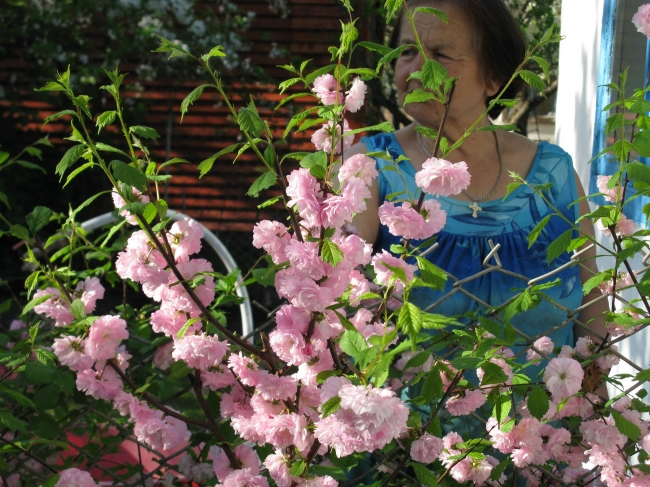 Пенсіонерка з Рівненщини продає квіти, щоб допомогти ЗСУ (ВІДЕО)