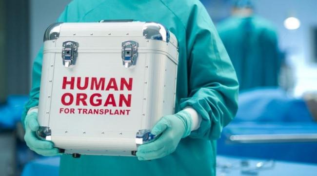 Пересадка органів у Рівному: лікарі є, донорів немає