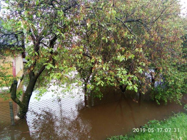 Підтоплені будинки та затоплені городи на Рівненщині (ВІДЕО)