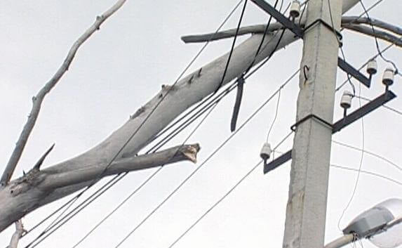 Після негоди електропостачання не відновили у 17 селах області