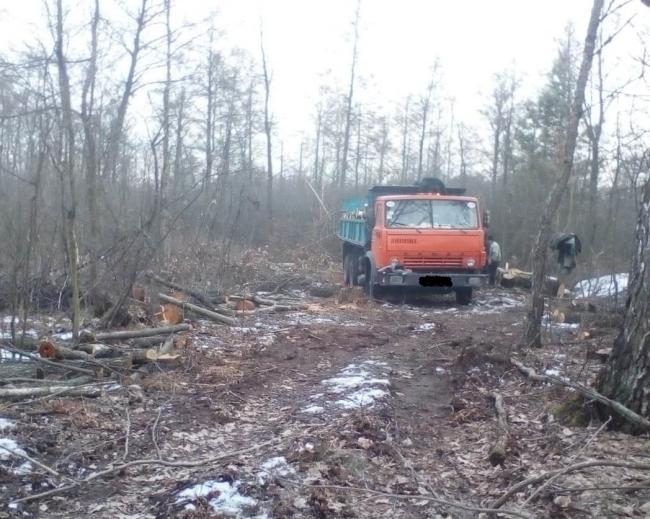 Поблизу українсько-білоруського кордону затримали лісорубів 