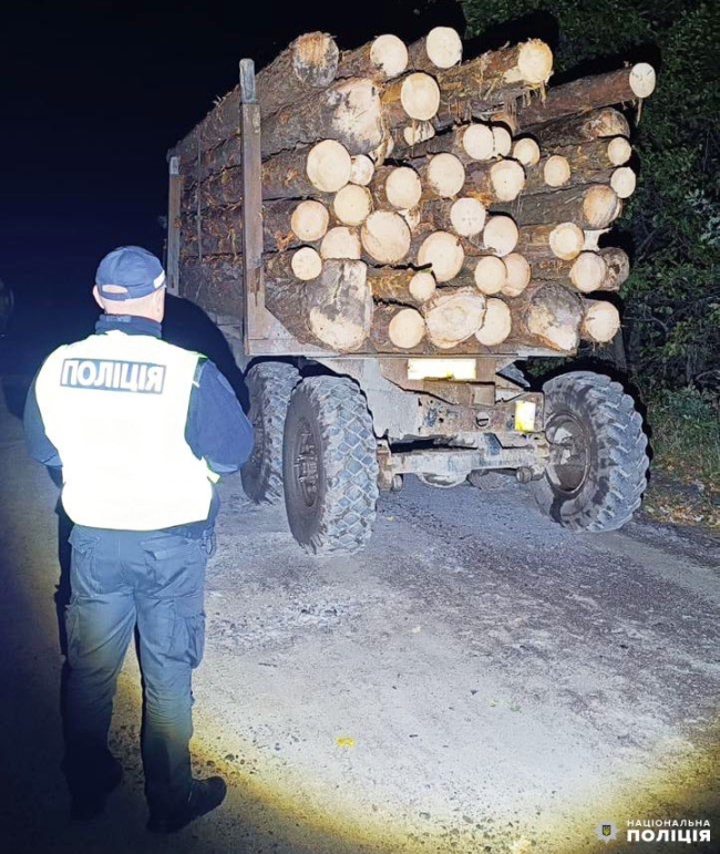 Поліція вилучила на Поліссі вантажівку з колодами, яку не дав оглянути водій