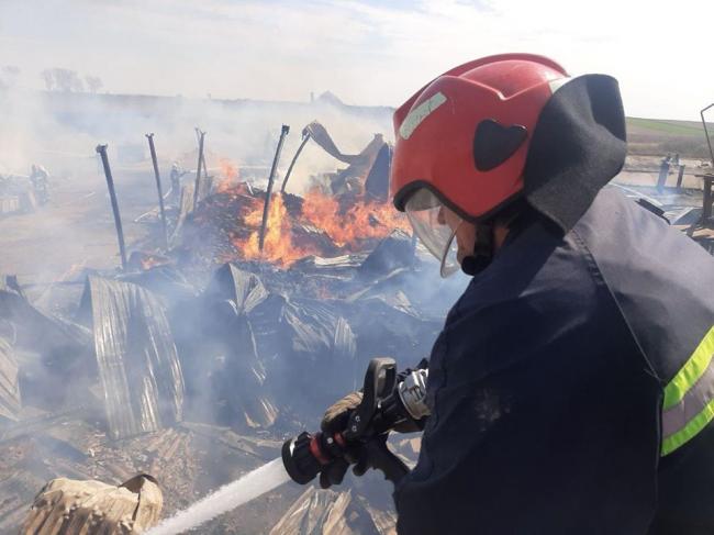 Пожежа у монастирі на Гощанщині: підпал чи необережність?