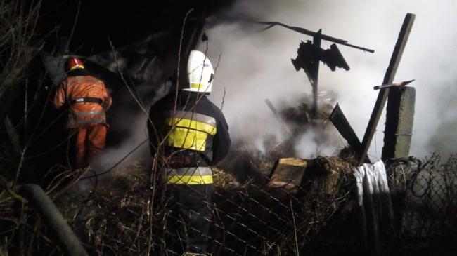 Пожежа у Сарнах: згоріло три тонни сіна