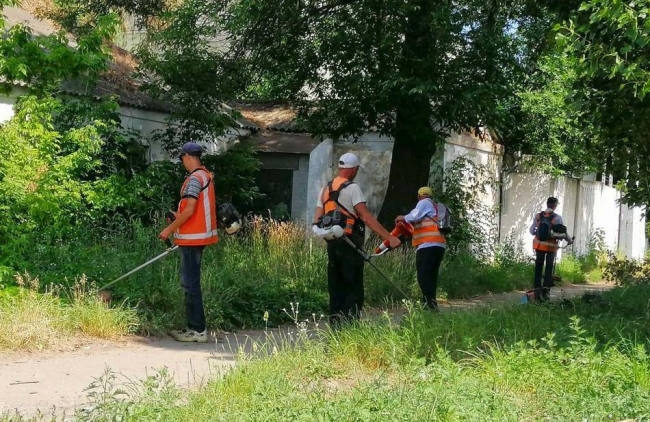 Рівне перегрівається — через скошену траву?