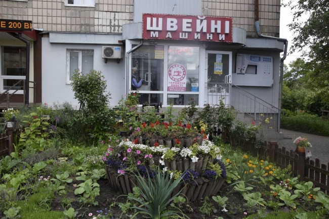 Рівненського підприємця покарали за газон-окрасу мікрорайону