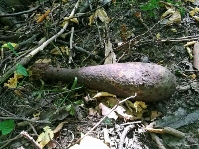 Шукали гриби, а знайшли смертельний метал