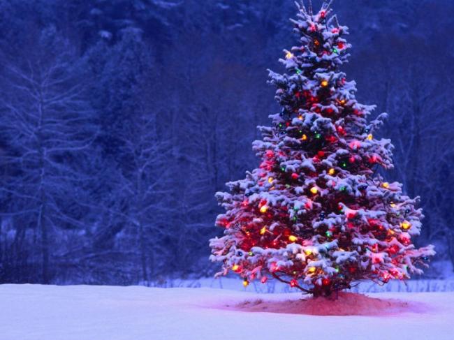 Сильний вітер та сніг – різдвяна погода на Рівненщині 
