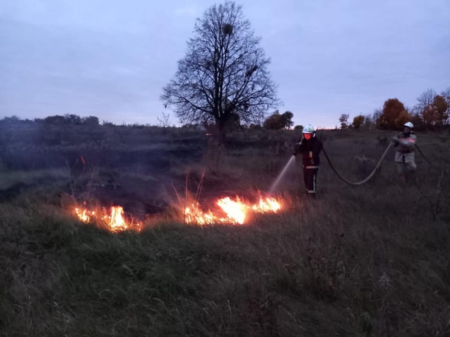 Сім разів за добу рятувальники гасили палаючу траву 
