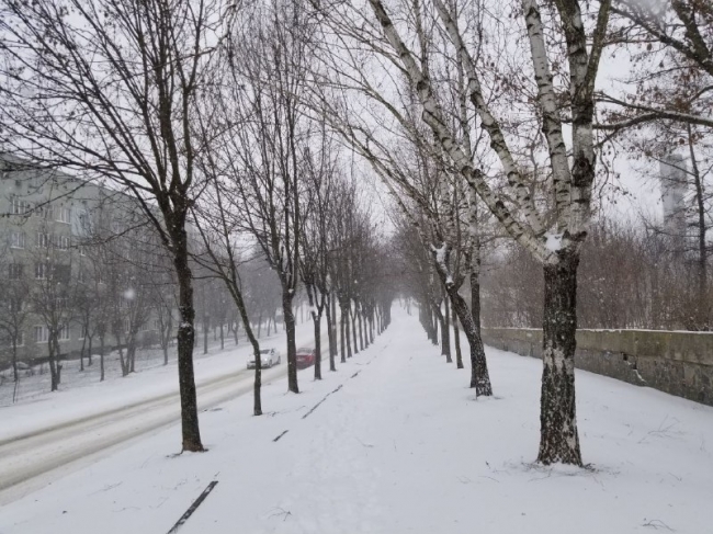 Синоптики розповіли, яким буде перший день зими на Рівненщині