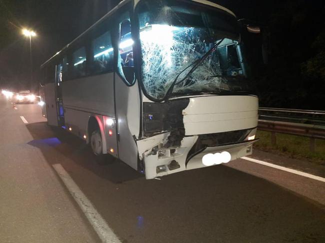У ДТП з паломниками на Рівненщині винен водій автобуса із Львівщини