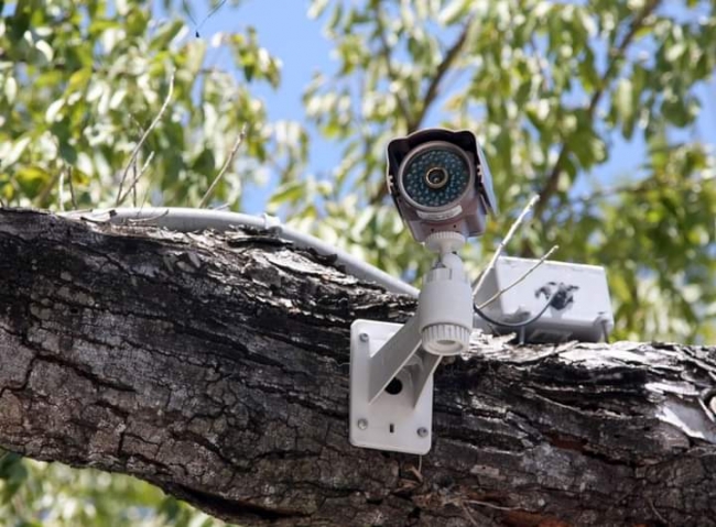 У лісах Рівненщини встановили ще кілька десятків відеокамер