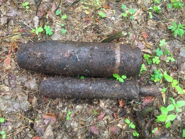 У лісі на Дубенщині знайшли реактивний та артилерійський снаряди