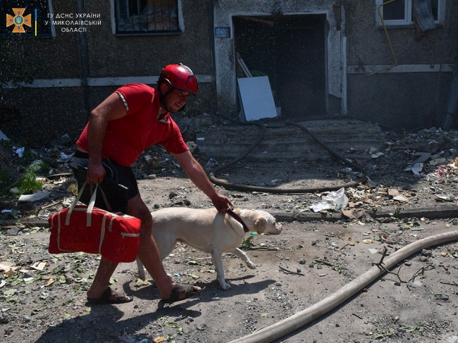 У Миколаєві рятувальники не залишили лабрадора у розтрощеній росіянами оселі (ВІДЕО)