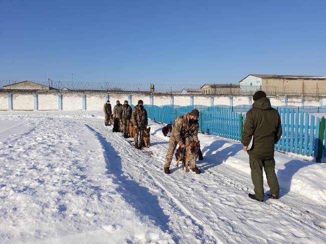 У Полицькій колонії обстежили службових собак