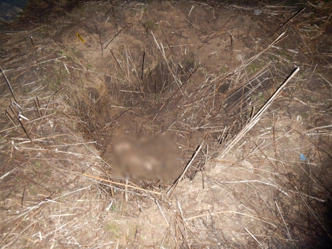У Рівненському районі знайшли закопане тіло чоловіка 