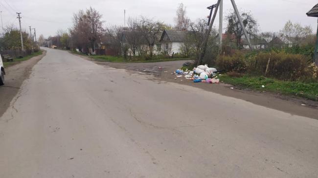 У селищі на Поліссі викидають сміття на дорогу, бо після виборів його перестали вивозити
