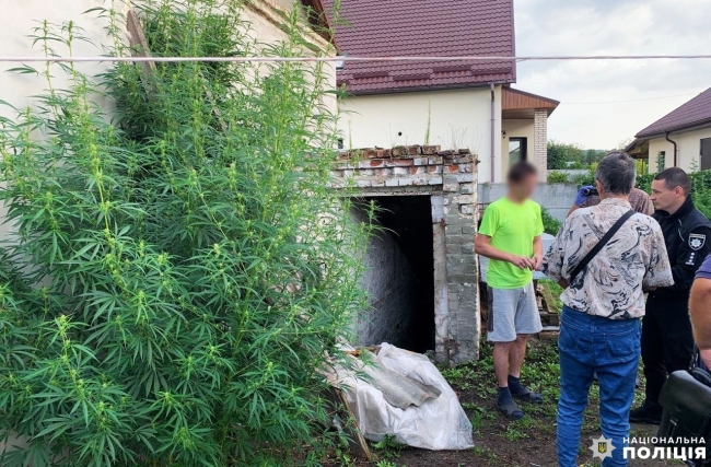 У Шпанові поліція знайшла конопляний посів і марихуану