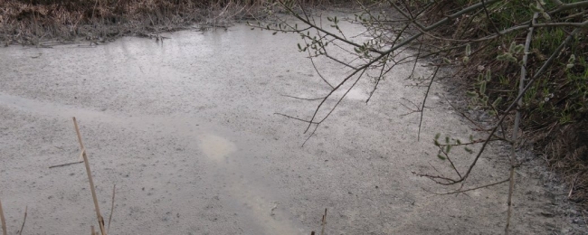 У заплаві річки на Рівненщині екоінспекція виявила перевищення вмісту хімречовин 