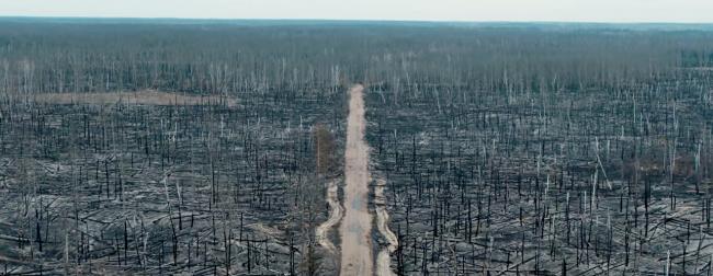 Український режисер зняв із дрона моторошні наслідки пожеж у Чорнобилі