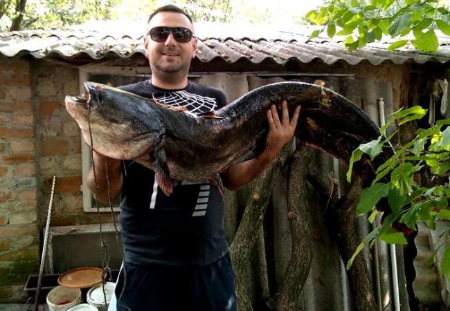 В річці на Рівненщині ловляться 40 кілограмові соми