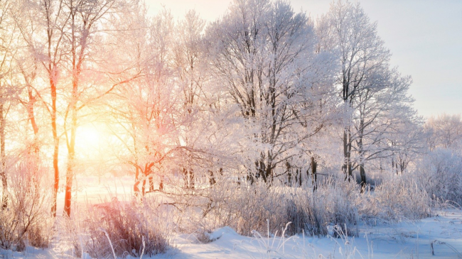 В Україні з 9 по 11 лютого очікуються сильні морози 