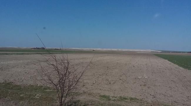 Виснажені ґрунти на Рівненщині скоро перетворяться на білі пустелі – професор