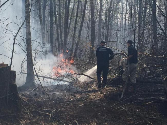 Згуртовані і відважні: як поліщуки боролися з лісовою пожежею
