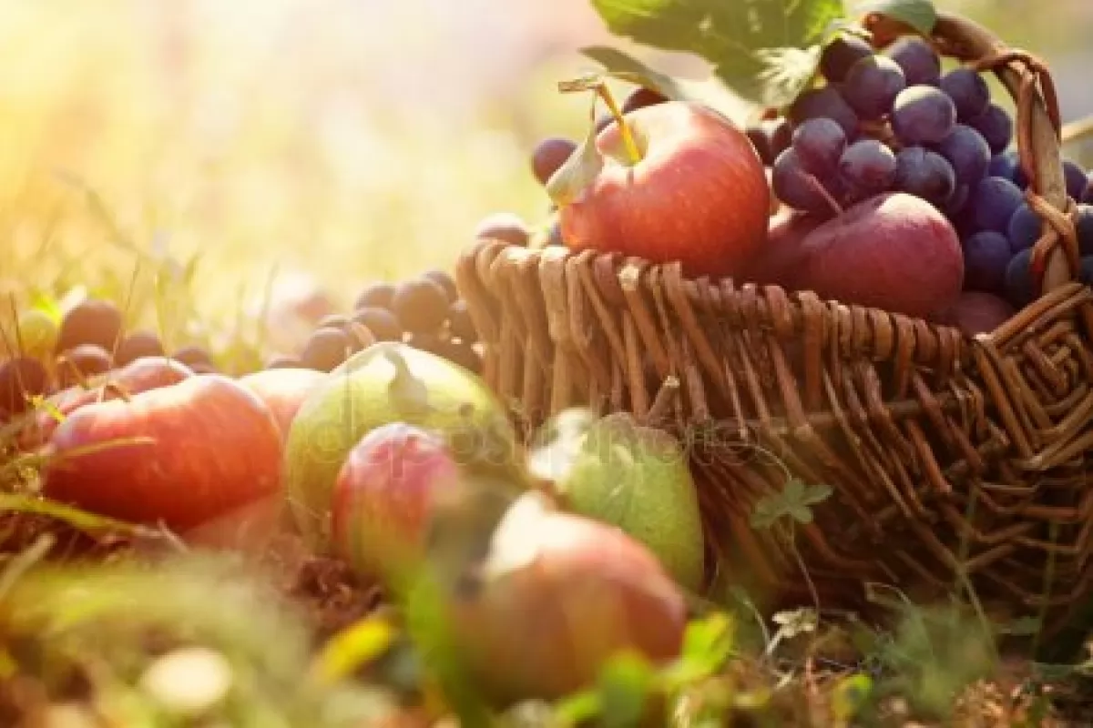Яблучний Спас: історія, традиції, прикмети і заборони 