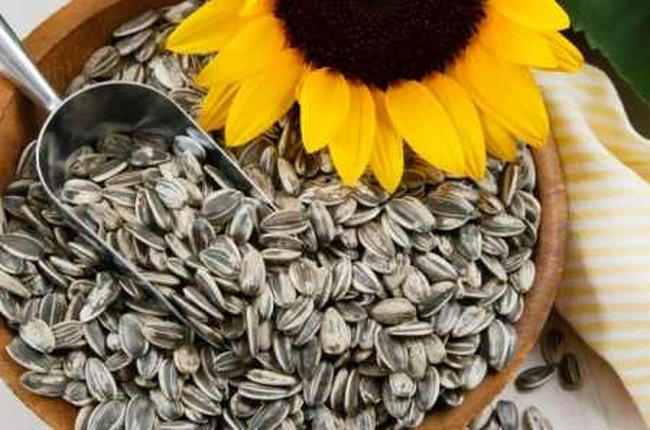 Як їсти соняшникове насіння — зі шкаралупою чи без