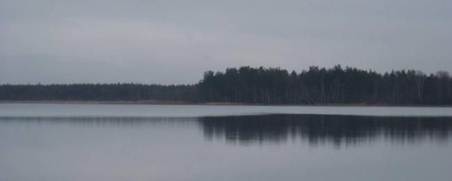 Озеро у Вербівці Дубровицького району