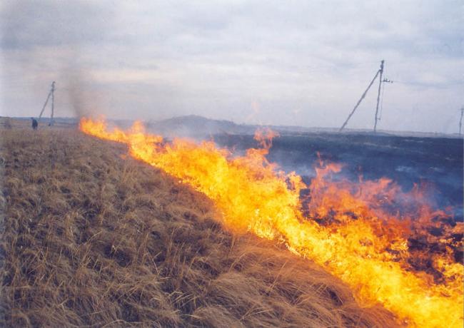 За підпали сухої трави рівнян оштрафували на десять тисяч гривень 