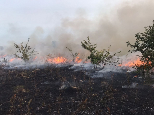 Жителі Рівненщини палять суху траву, а рятувальники гасять пожежі