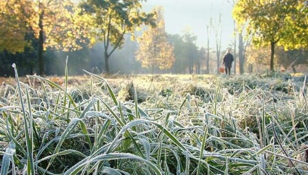 Жителів Рівненщини попереджають про ранковий заморозок