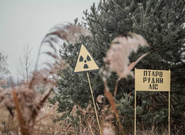 Живі покійники: окупанти справді нарили окопів у Рудому лісі Чорнобиля (ВІДЕО)